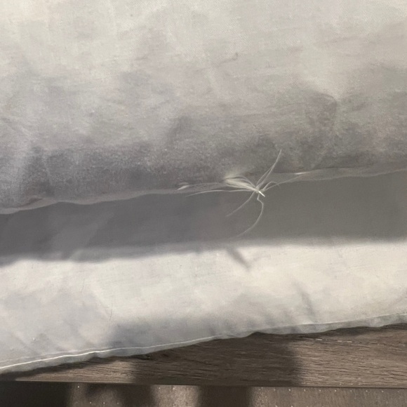 Throw Pillows Taupe & Cream. One PAIR. Coral Motif. 100% Duck Feather Inserts. - Picture 11 of 11